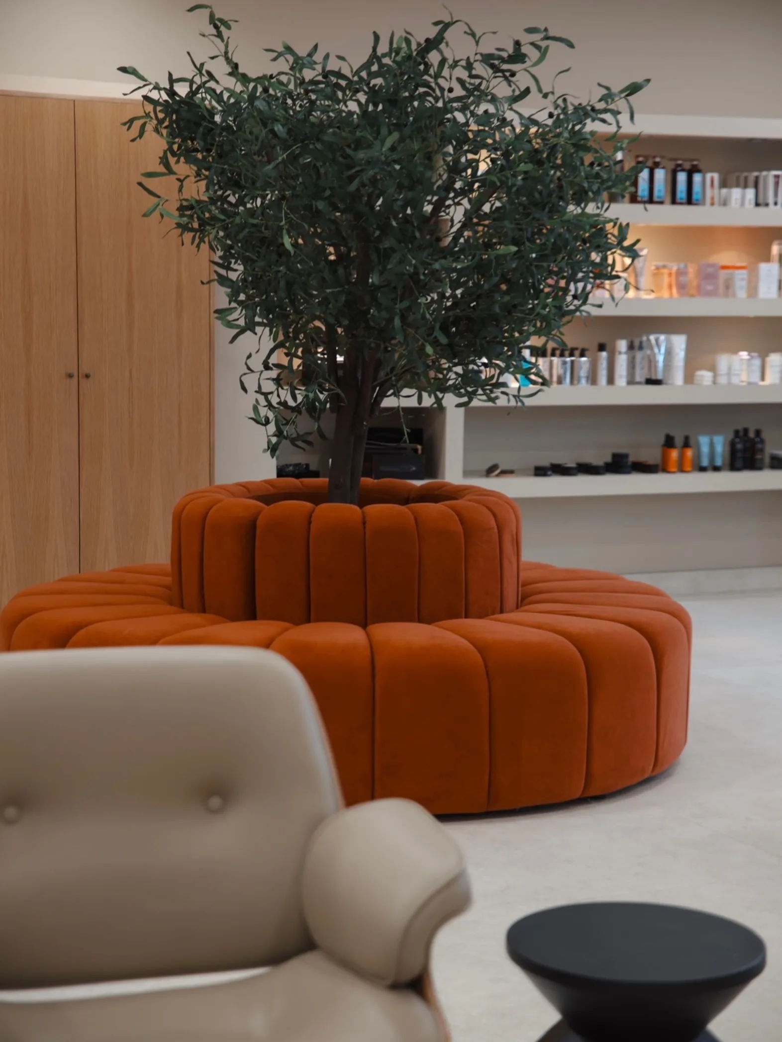 Intérieur du salon Laurent G. — canapé terracotta et olivier, Manosque